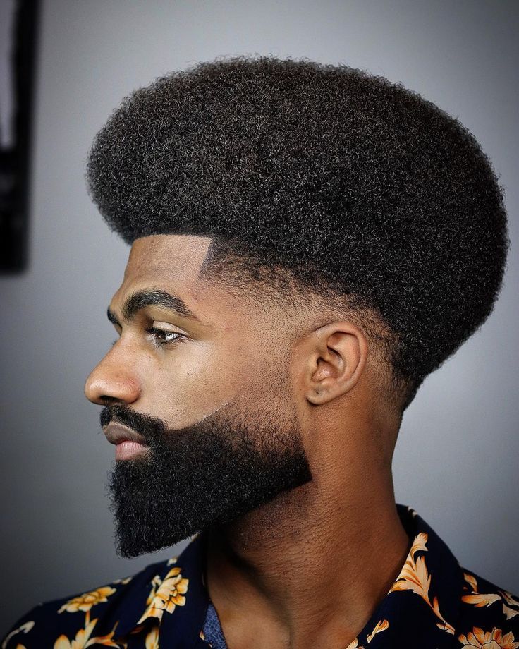 5 cortes de cabelo masculino para 2019  Cabelo, Cabelo masculino, Cortes  de cabelo